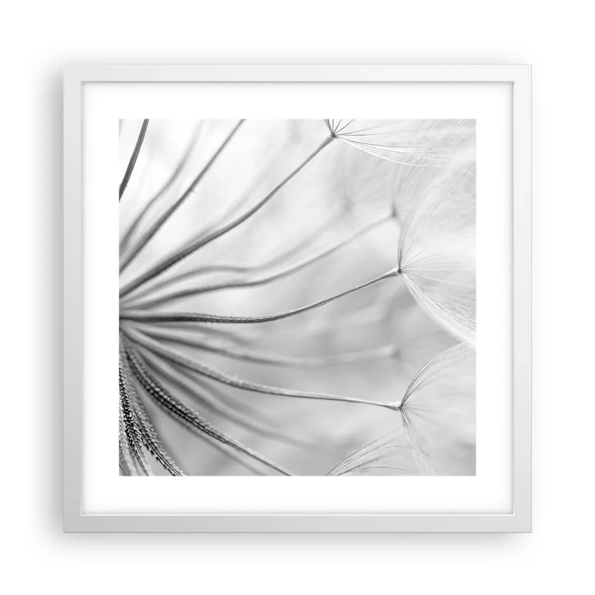 Póster en marco blanco - Caricias del viento - 40x40 cm