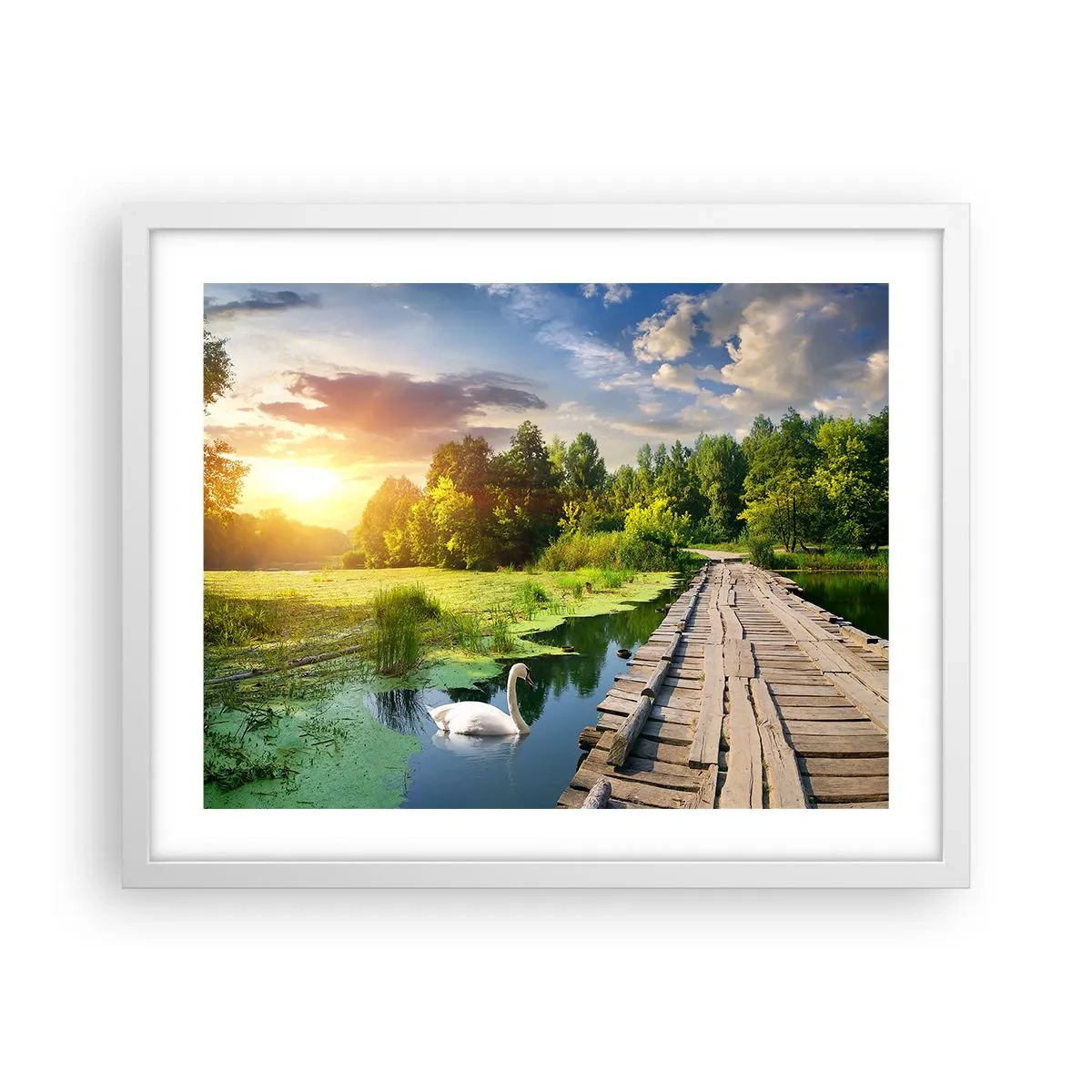 Póster en marco blanco - Verano, verano en todas partes - 50x40 cm