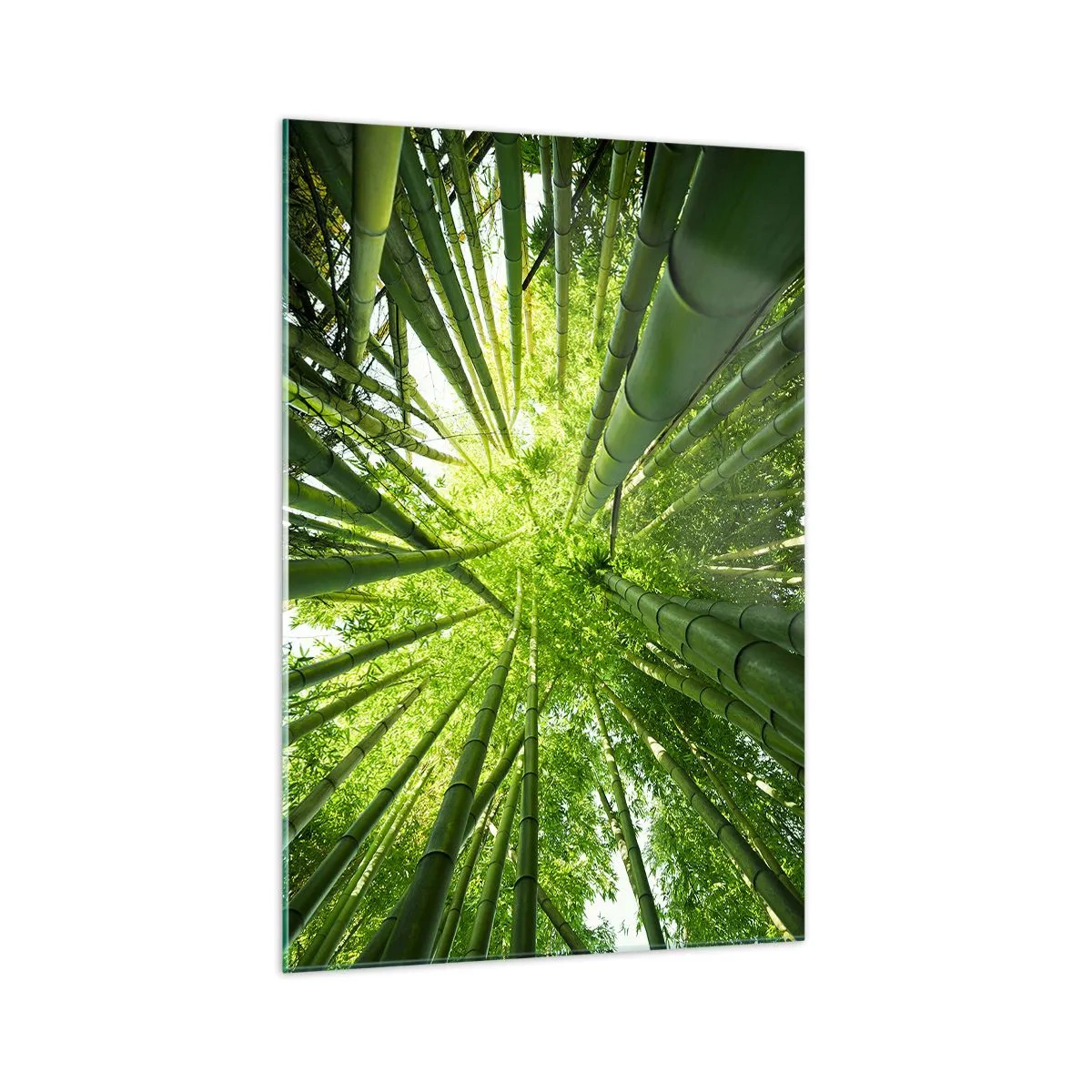 Cuadro sobre vidrio - Impresiones sobre Vidrio - Vista hacia arriba a través de un bosque de bambú verde. - 70x100cm - En un bosquecillo de bambú - Decoración de pared moderna para salón y dormitorio ARTTOR