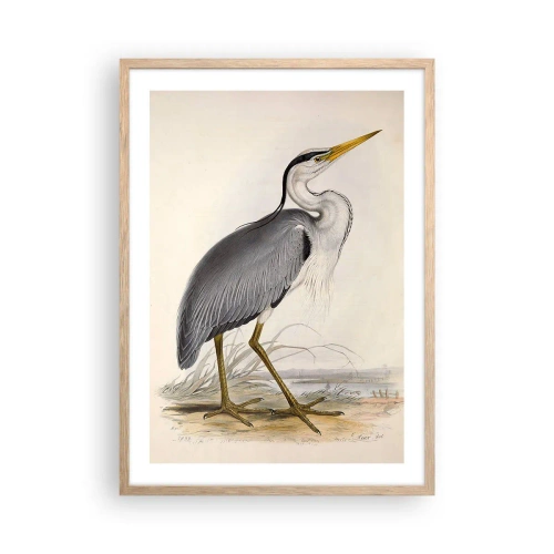 Póster en marco roble claro - Encanto de garza - 50x70 cm