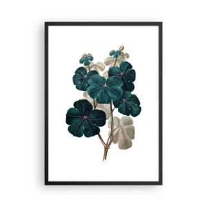Póster en marco negro - Ilustración botánica con hojas de color verde oscuro sobre un fondo claro. - 50x70cm - De un viejo herbario - Decoración de pared moderna para salón y dormitorio ARTTOR