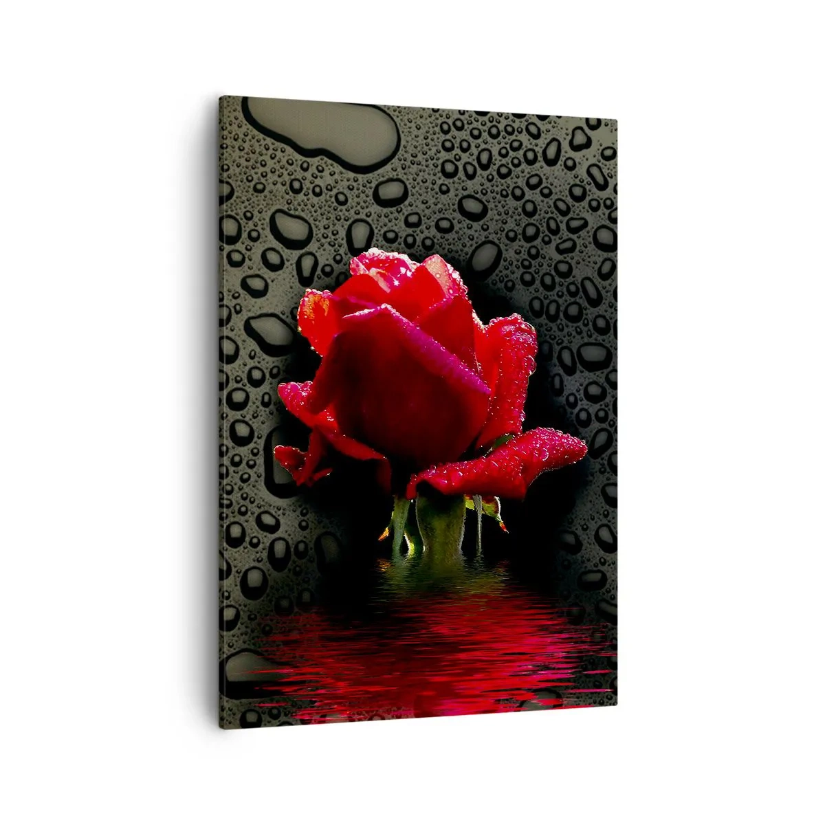 Cuadro sobre lienzo - Impresión de Imagen - Rosa roja con gotas de agua sobre un fondo oscuro - 50x70cm - Rojo y negro - Decoración de pared moderna para salón y dormitorio ARTTOR