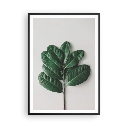 Póster en marco negro - El dibujo de la propia naturaleza - 70x100 cm
