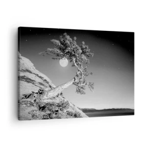 Cuadro sobre lienzo - Impresión de Imagen - Árbol en blanco y negro en un acantilado con la luna al fondo - 70x50cm - Un guerrero victorioso - Decoración de pared moderna para salón y dormitorio ARTTOR