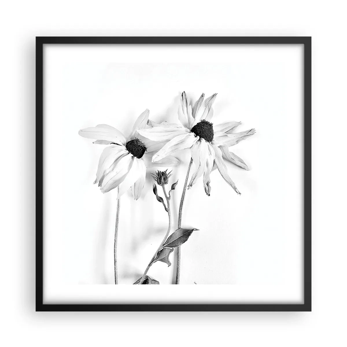 Póster en marco negro - Nadie quiere estar solo - 50x50 cm