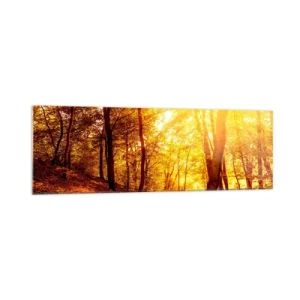 Cuadro sobre vidrio - Impresiones sobre Vidrio - Claro de otoño bajo la luz dorada del sol con un sendero forestal - 160x50cm - Hacia un claro de oro - Decoración de pared moderna para salón y dormitorio ARTTOR