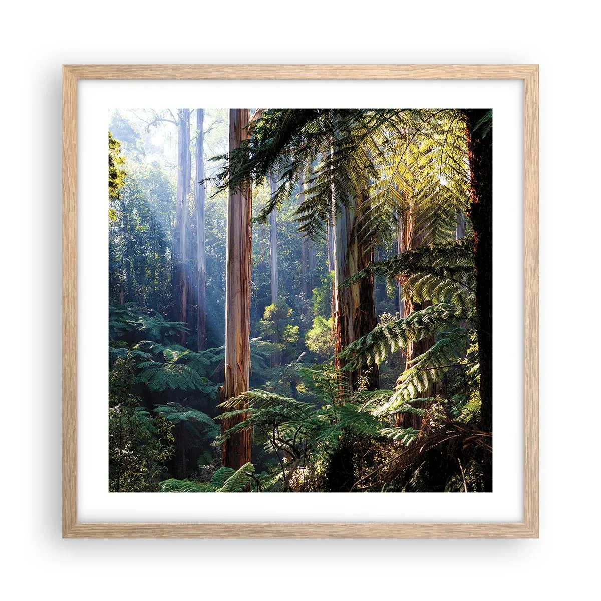 Póster en marco roble claro - Un cuento de hadas del bosque - 50x50 cm