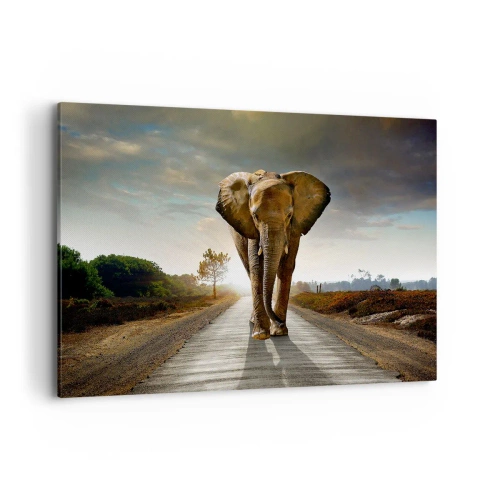 Cuadro sobre lienzo - Impresión de Imagen - Un elefante caminando por una carretera a través de un paisaje al atardecer. - 120x80cm - Y para nada en un almacén de porcelana - Decoración de pared moderna para salón y dormitorio ARTTOR