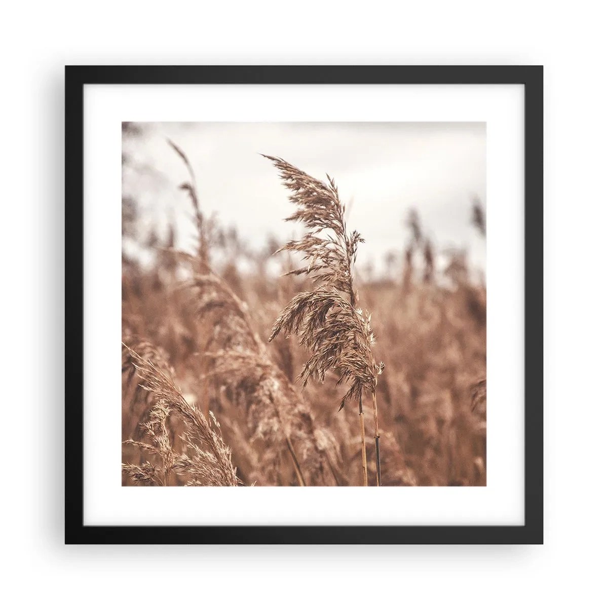 Póster en marco negro - El otoño ya está en los campos - 40x40 cm