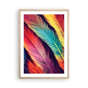 Póster en marco roble claro - Arco iris plumoso - 50x70 cm