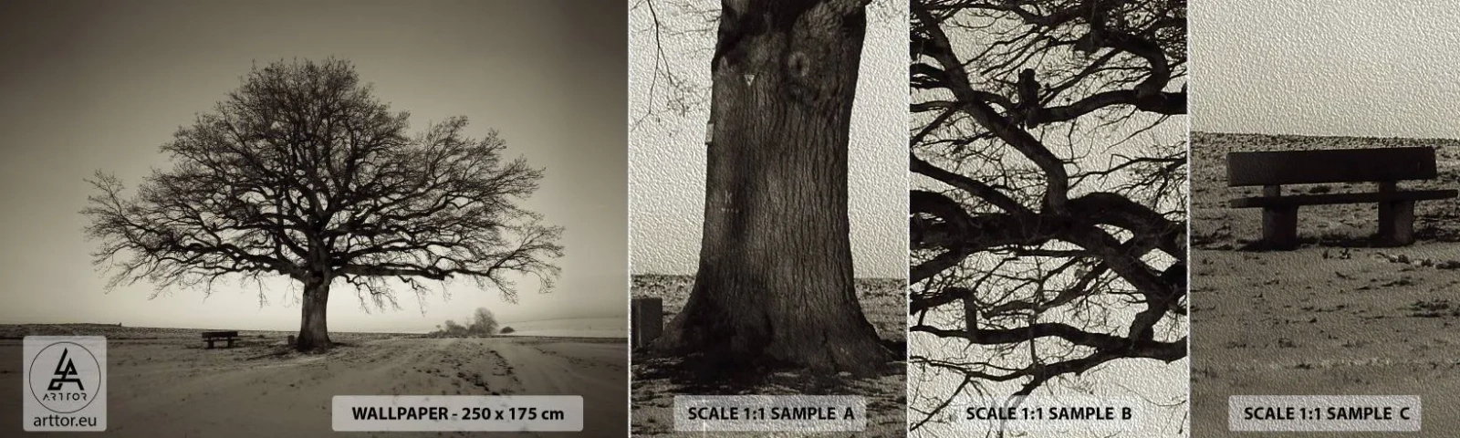 Muestra de fotomural Premium Sand - De aquí a la eternidad - Paisaje, Árbol, Naturaleza - 100x30 cm