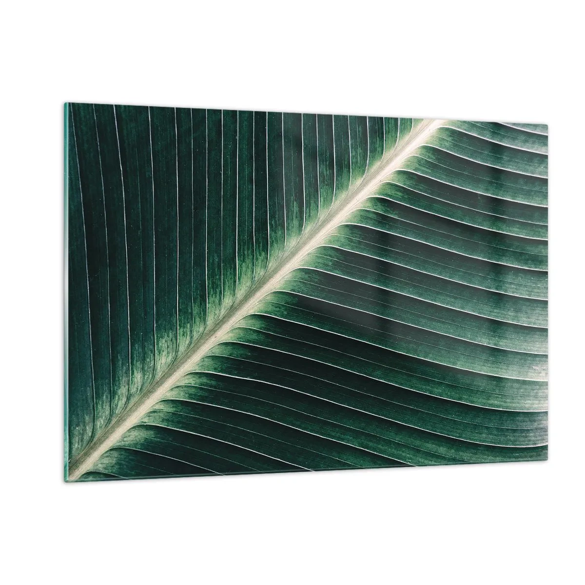 Cuadro sobre vidrio - Impresiones sobre Vidrio - Detalle de una hoja de plátano en un intenso tono verde. - 120x80cm - El ritmo de la naturaleza - Decoración de pared moderna para salón y dormitorio ARTTOR