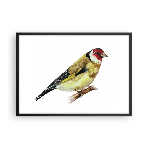 Póster en marco negro - Un pájaro con la cabeza roja en una rama. - 70x50cm - Retrato de pájaro - Decoración de pared moderna para salón y dormitorio ARTTOR