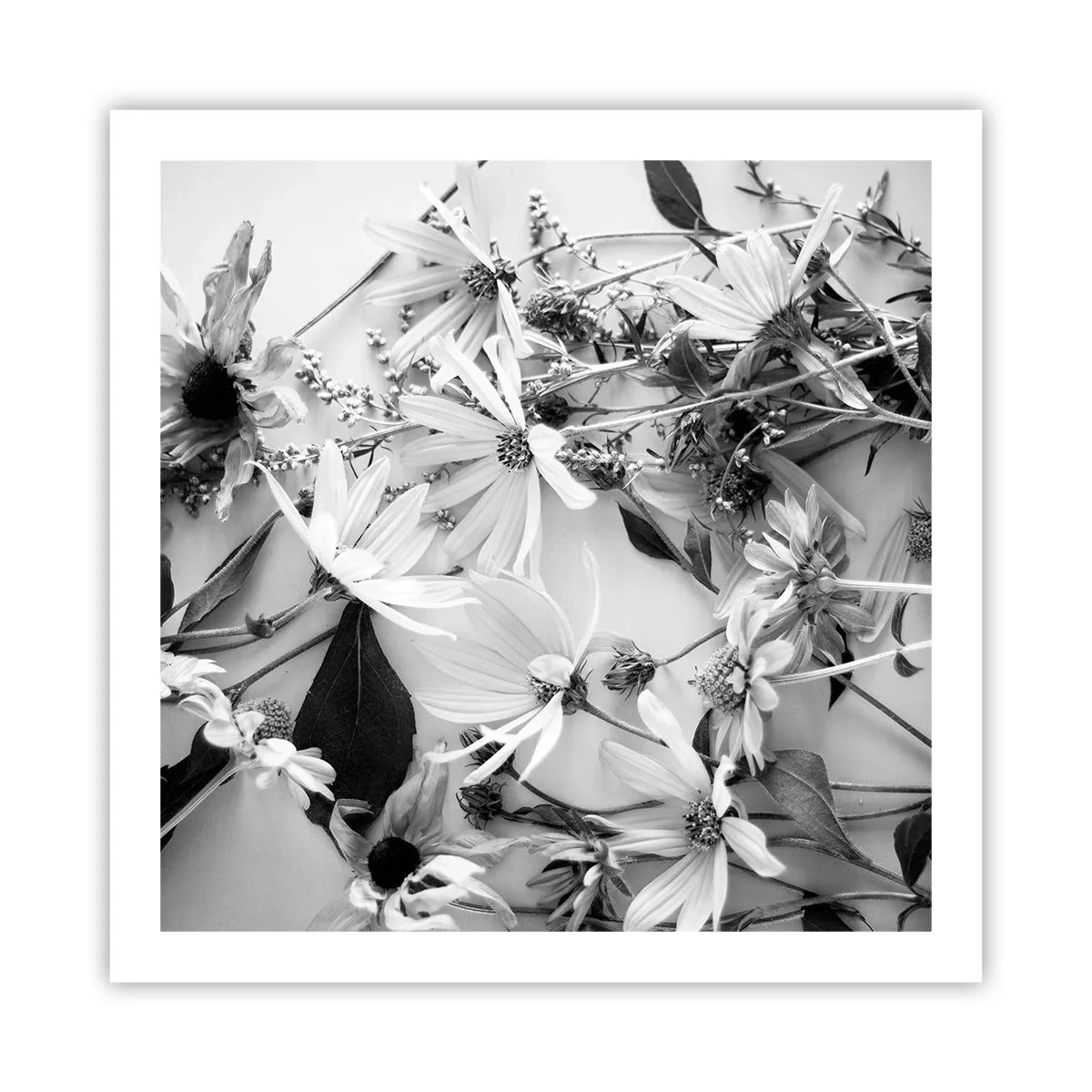 Póster - Un no ramo de flores - 60x60 cm