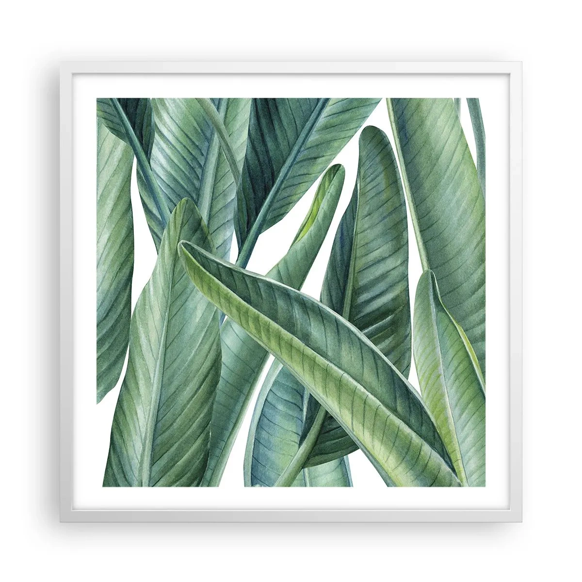 Póster en marco blanco - Vegetación en estado puro - 60x60 cm