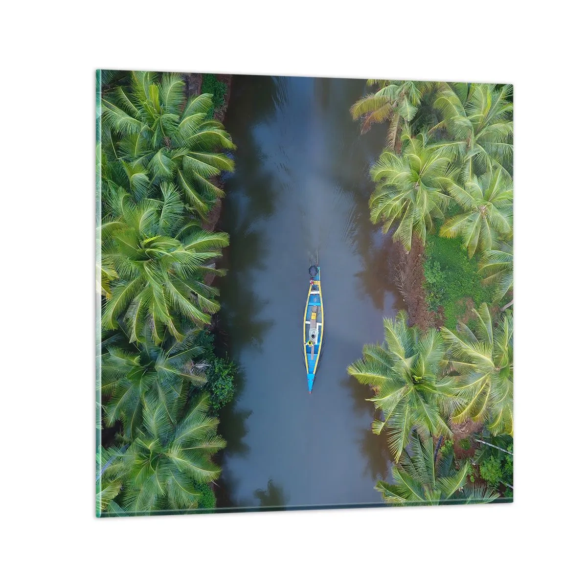 Cuadro sobre vidrio - Impresiones sobre Vidrio - En un sendero tropical - 30x30 cm