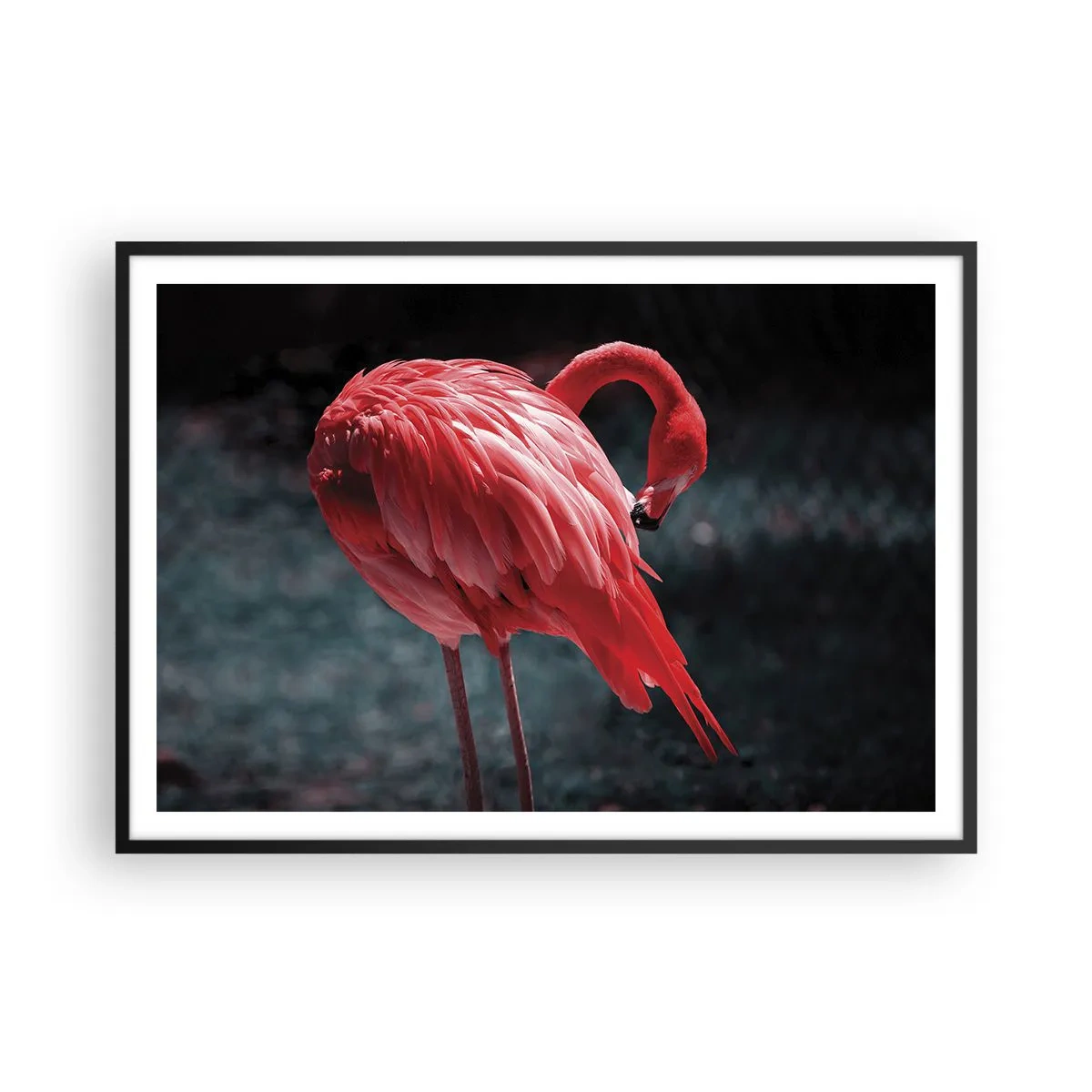 Póster en marco negro - Un flamenco rosa sobre un fondo verde oscuro. - 100x70cm - Un poema carmesí de la naturaleza - Decoración de pared moderna para salón y dormitorio ARTTOR