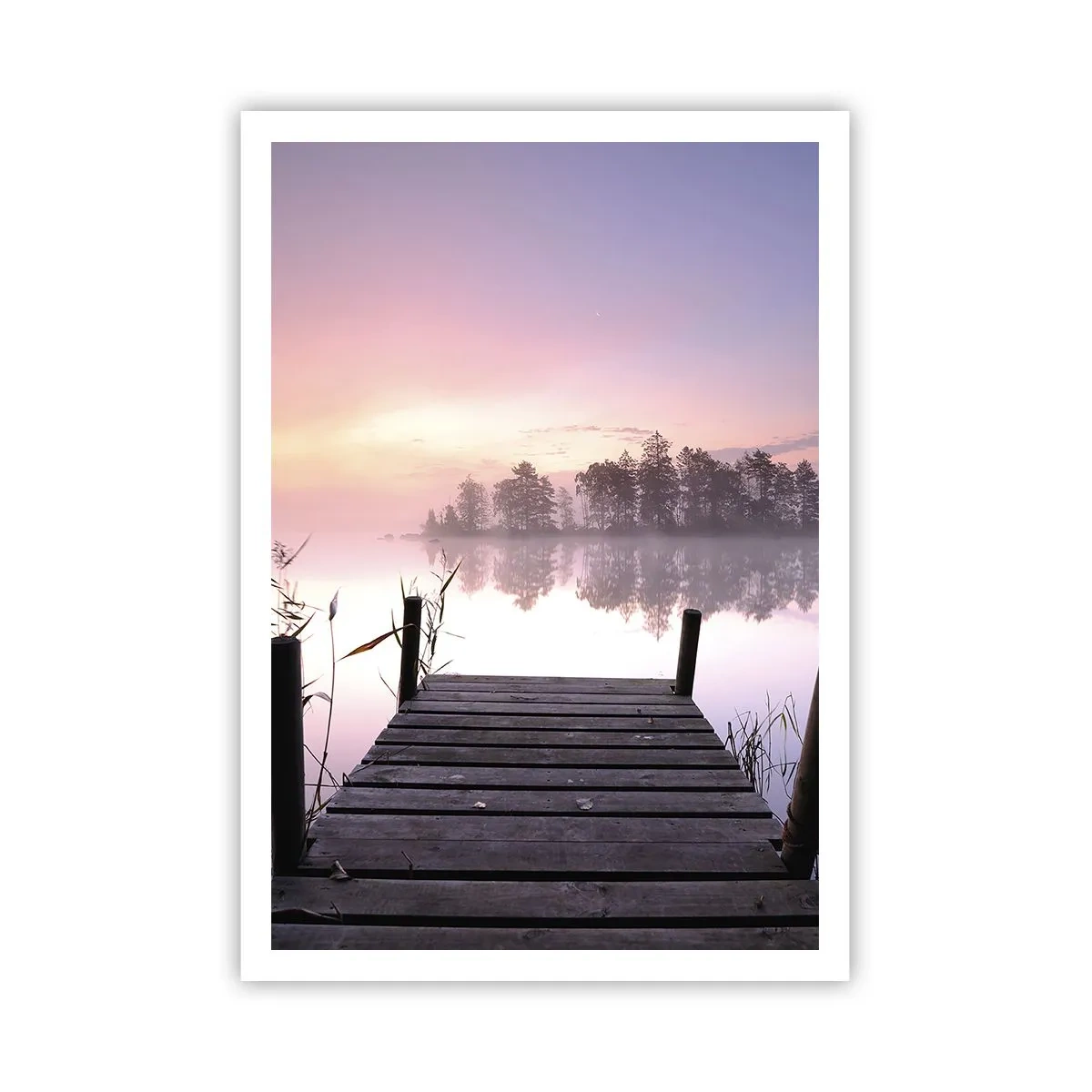 Póster - De la niebla lila... - 70x100 cm
