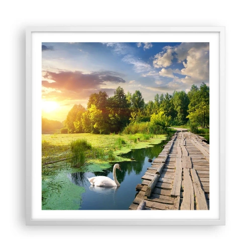 Póster en marco blanco - Verano, verano en todas partes - 60x60 cm