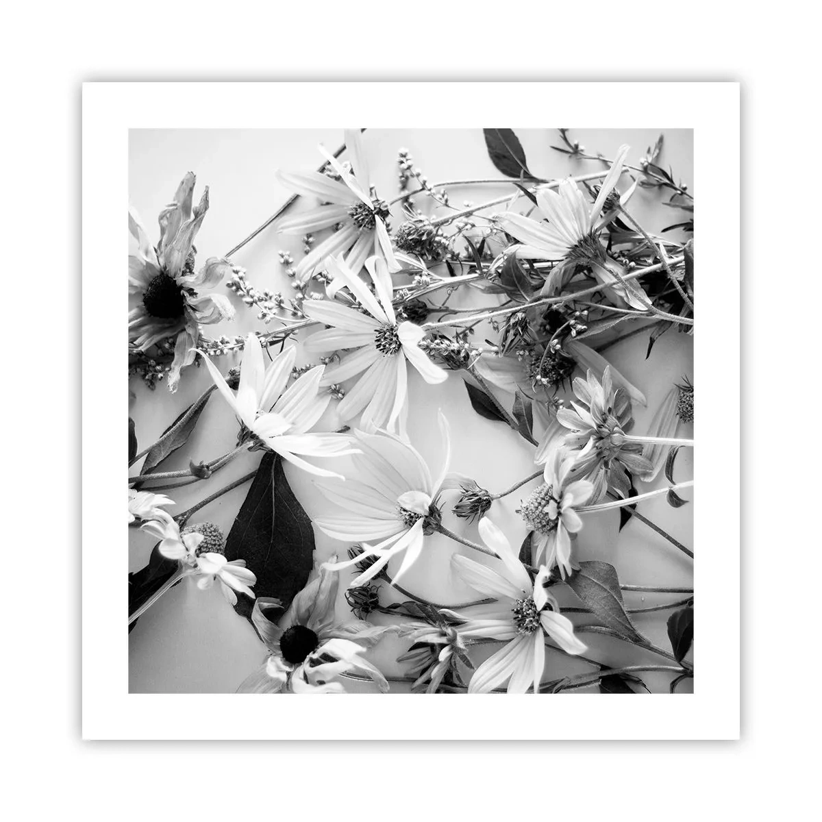 Póster - Un no ramo de flores - 50x50 cm