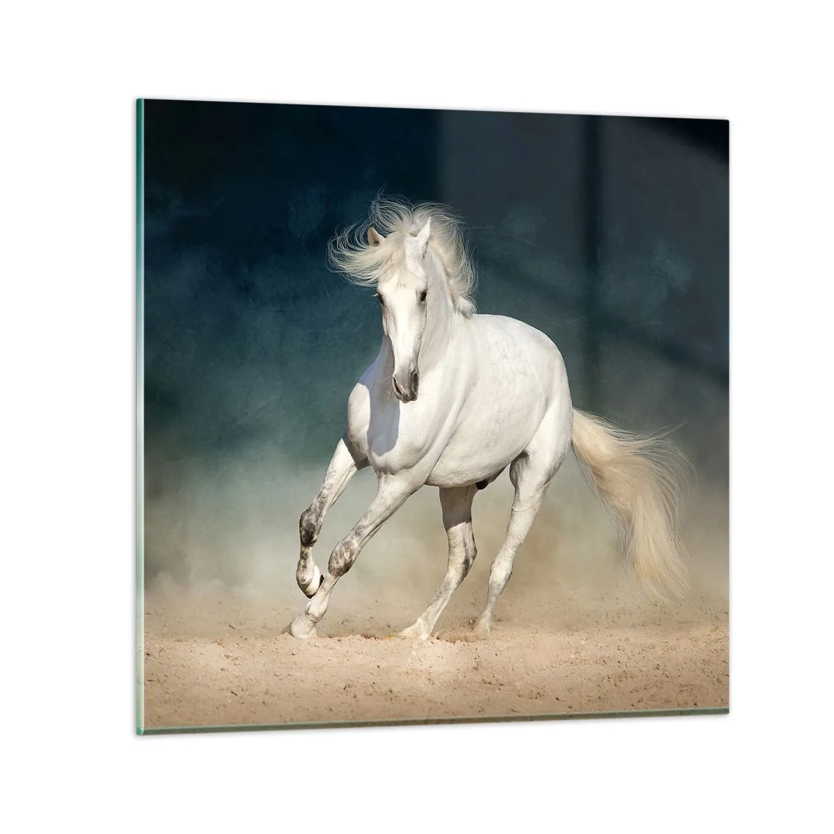 Cuadro sobre vidrio - Impresiones sobre Vidrio - Libertad en estado puro - 40x40 cm