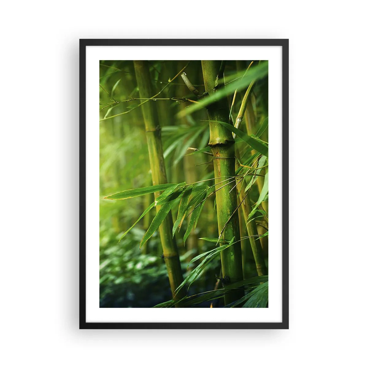 Póster en marco negro - Un bosque de bambú en tonos verdes. - 50x70cm - Conocer el propio verdor - Decoración de pared moderna para salón y dormitorio ARTTOR