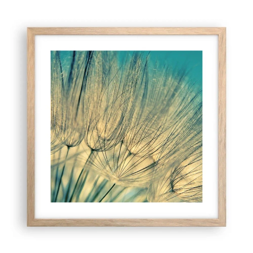 Póster en marco roble claro - Esperando el viento - 40x40 cm