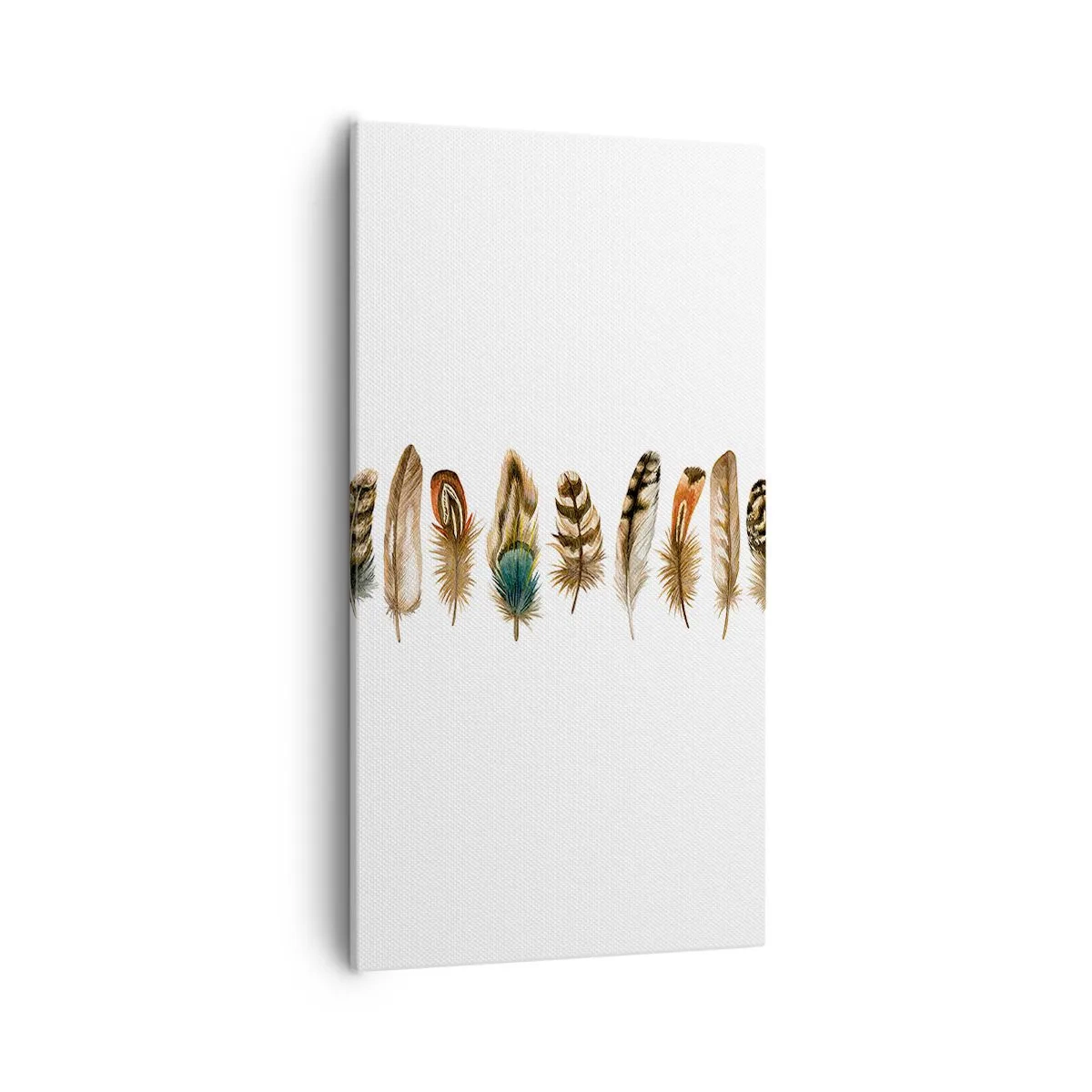 Cuadro sobre lienzo - Impresión de Imagen - Estudio de plumas - 55x100 cm