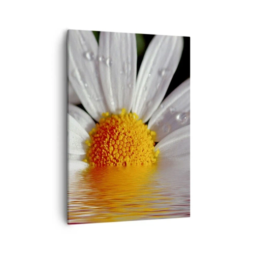 Cuadro sobre lienzo - Impresión de Imagen - Una margarita blanca con gotas de agua inmersas en un reflejo de agua. - 50x70cm - El sol naciente de una margarita - Decoración de pared moderna para salón y dormitorio ARTTOR