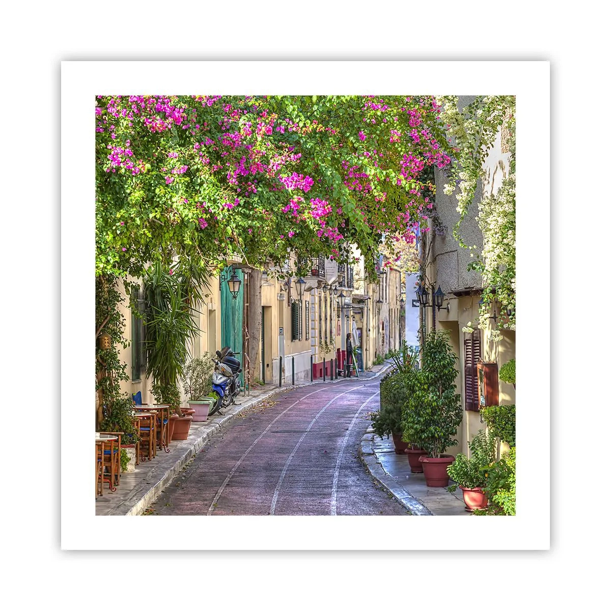 Póster - Un callejón floreciente - 50x50 cm