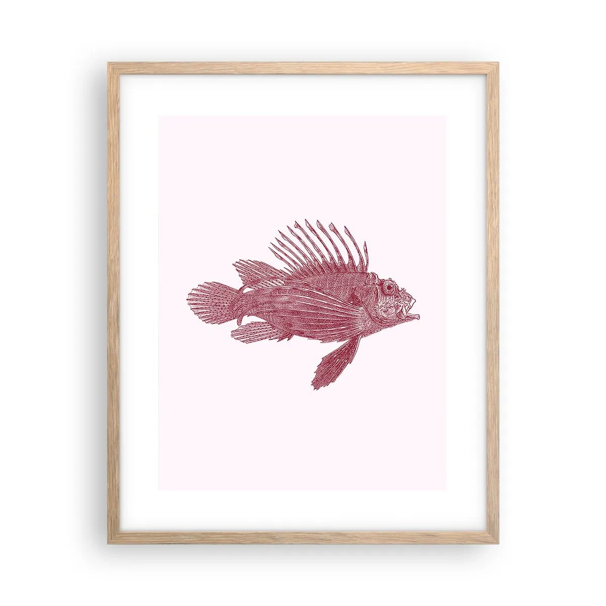 Póster en marco roble claro - Un habitante de aguas exóticas - 40x50 cm