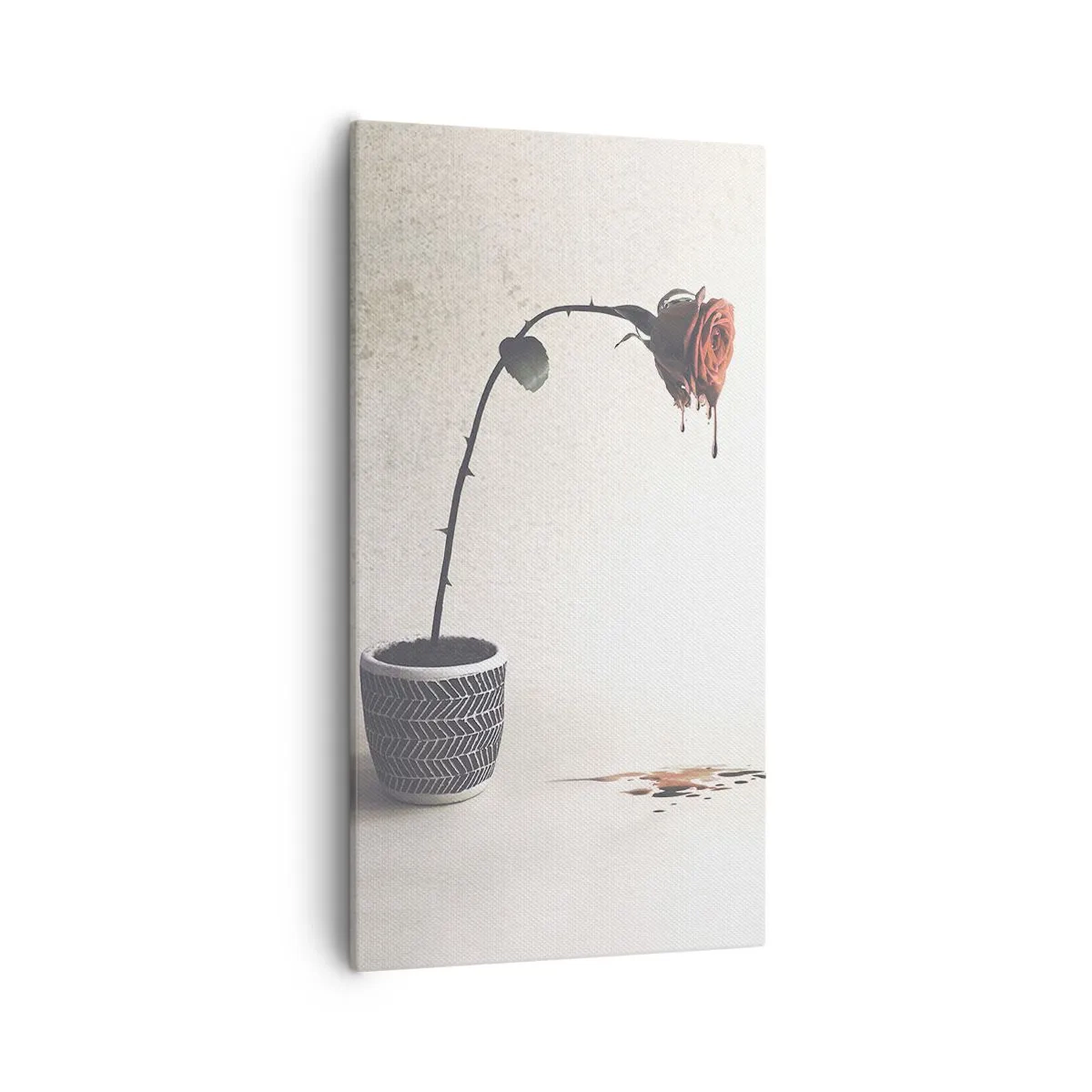 Cuadro sobre lienzo - Impresión de Imagen - Rosa dolorosa - 55x100 cm