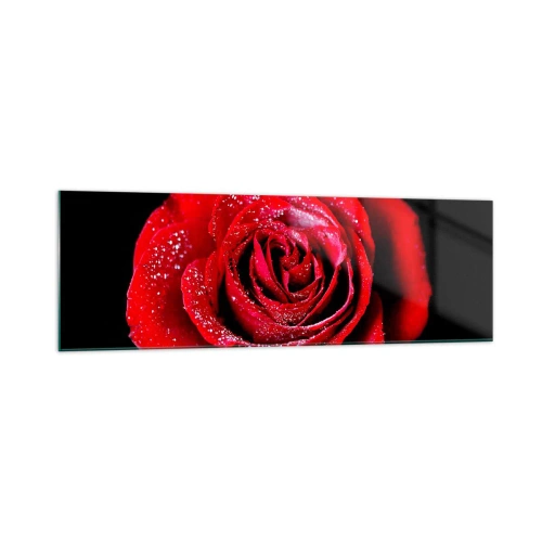 Cuadro sobre vidrio - Impresiones sobre Vidrio - Una rosa roja cubierta de gotas de rocío sobre un fondo negro. - 160x50cm - Eso es el amor - Decoración de pared moderna para salón y dormitorio ARTTOR