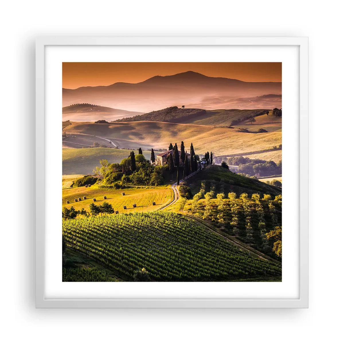 Póster en marco blanco - Paisaje toscano - 50x50 cm