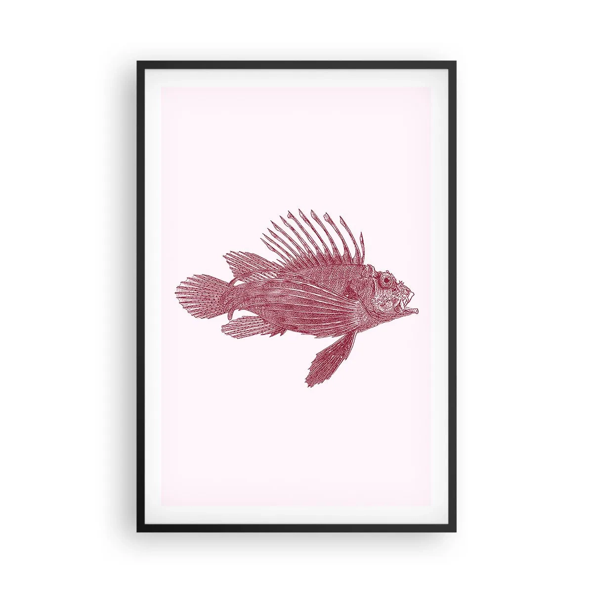 Póster en marco negro - Un habitante de aguas exóticas - 61x91 cm