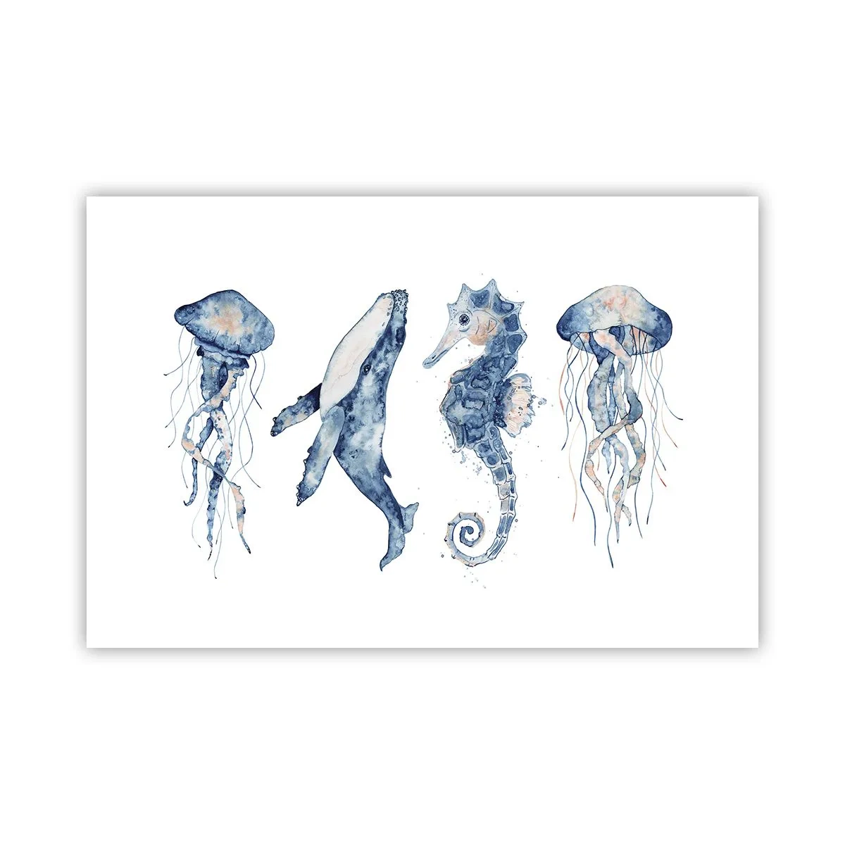 Póster - Fauna marina - 91x61 cm