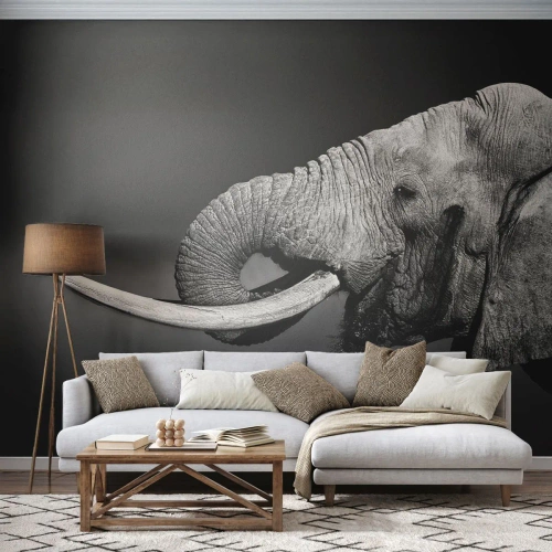 Fotomural Standard Eco - Majestuoso - animales, Elefante, África - 150x105 cm
