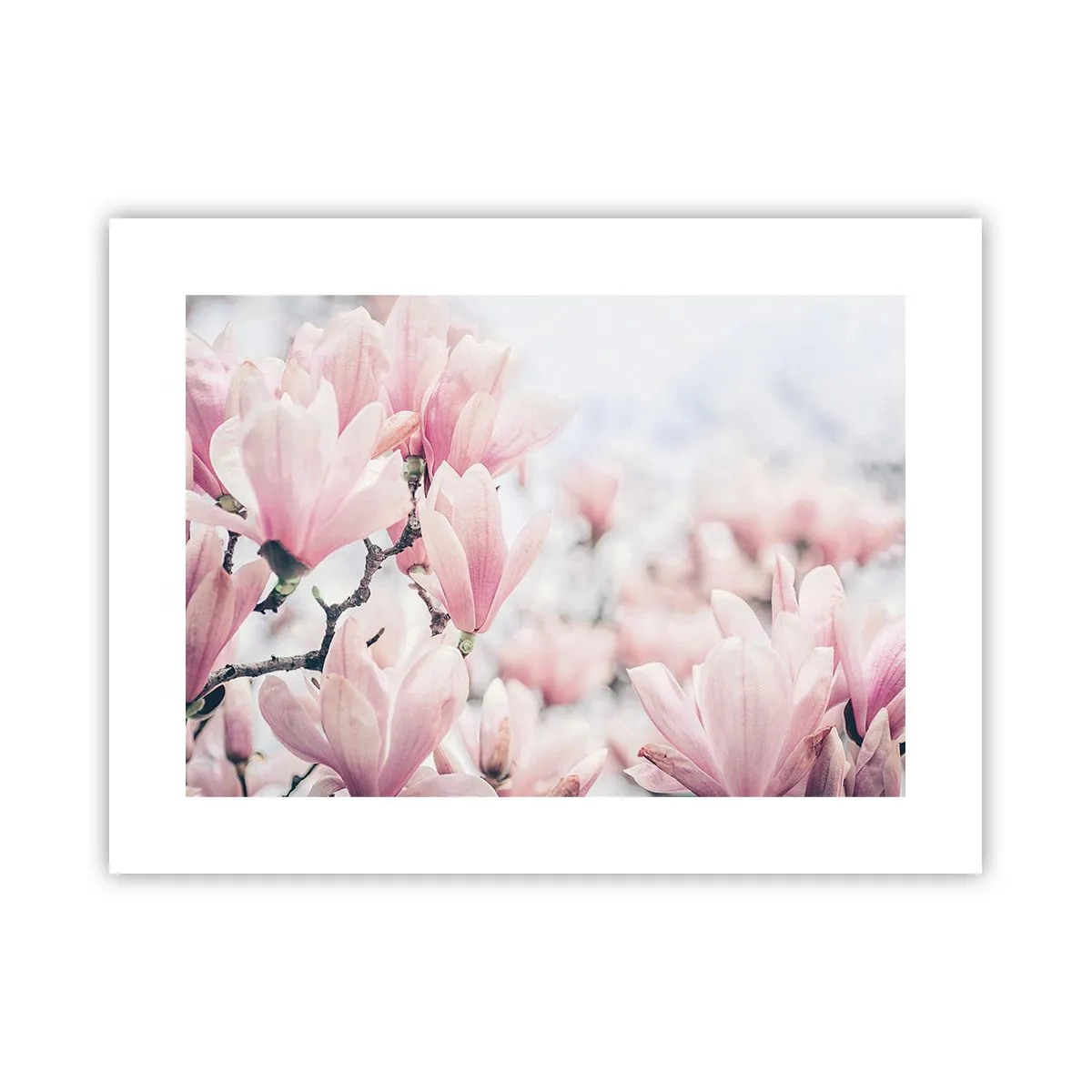 Póster - La perfección de la sutileza - 40x30 cm