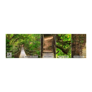 Muestra de fotomural autoadhesivo Deluxe Sticker - Porque la vid crece en el jardín - Paisaje, Bosque, Naturaleza - 100x30 cm