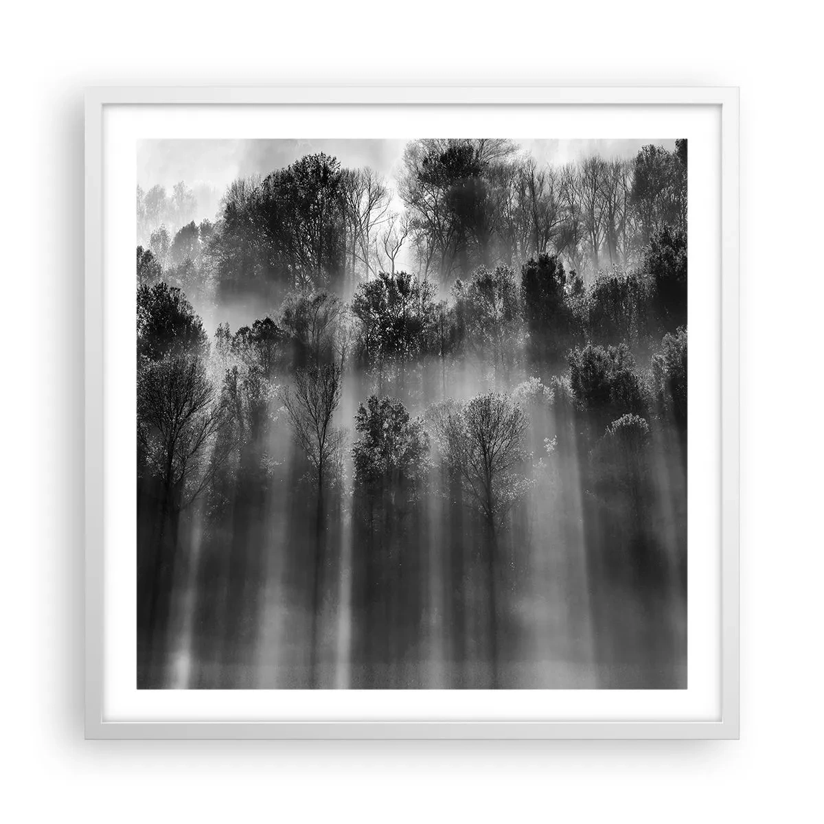 Póster en marco blanco - En los flujos de luz - 60x60 cm