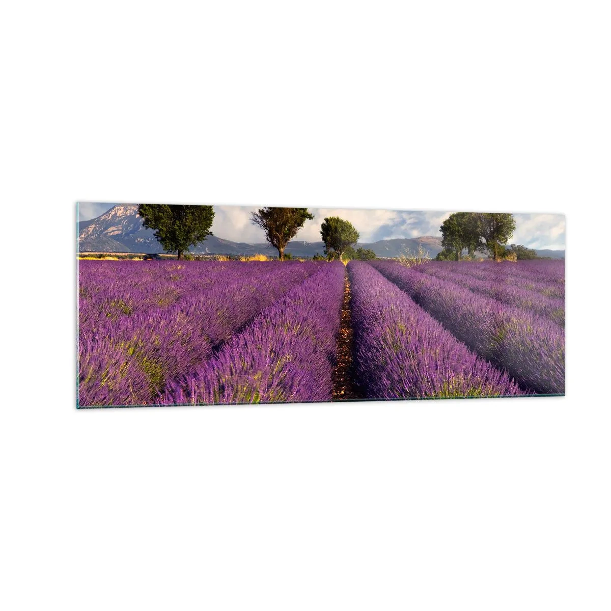 Cuadro sobre vidrio - Impresiones sobre Vidrio - Un campo de lavanda con árboles con el telón de fondo de montañas y cielo. - 140x50cm - Campos de lavanda - Decoración de pared moderna para salón y dormitorio ARTTOR