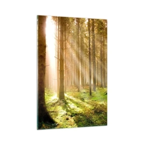 Cuadro sobre vidrio - Impresiones sobre Vidrio - Bosque de coníferas con rayos de sol brillando a través de los árboles. - 80x120cm - Los elfos se aproximan - Decoración de pared moderna para salón y dormitorio ARTTOR