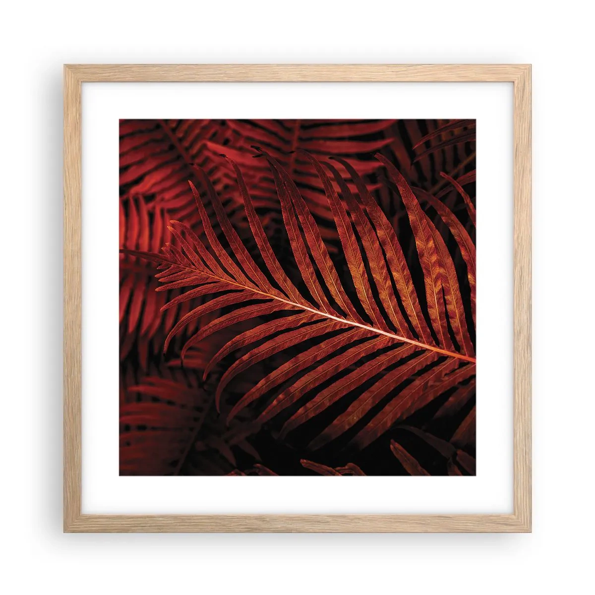 Póster en marco roble claro - Las brasas de la vida - 40x40 cm