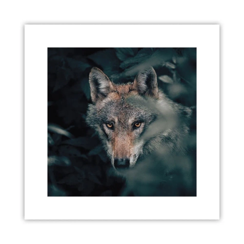 Póster - Cazador - 30x30 cm
