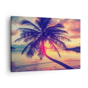 Cuadro sobre lienzo - Impresión de Imagen - Puesta de sol con una palmera sobre una orilla tranquila - 70x50cm - Atardecer bajo las palmeras - Decoración de pared moderna para salón y dormitorio ARTTOR