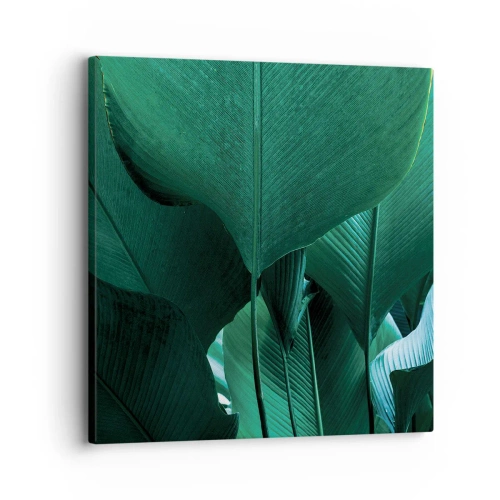 Cuadro sobre lienzo - Impresión de Imagen - De cara a la luz - 30x30 cm