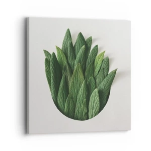 Cuadro sobre lienzo - Impresión de Imagen - Curiosidad desenfrenada - 30x30 cm