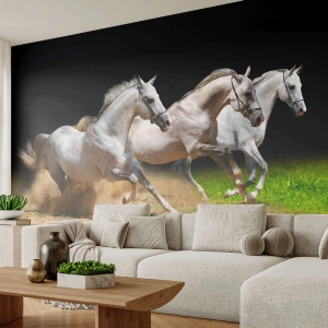 Fotomural Premium Canvas - Las tres Gracias - Caballos, animales, Galope - 300x210 cm