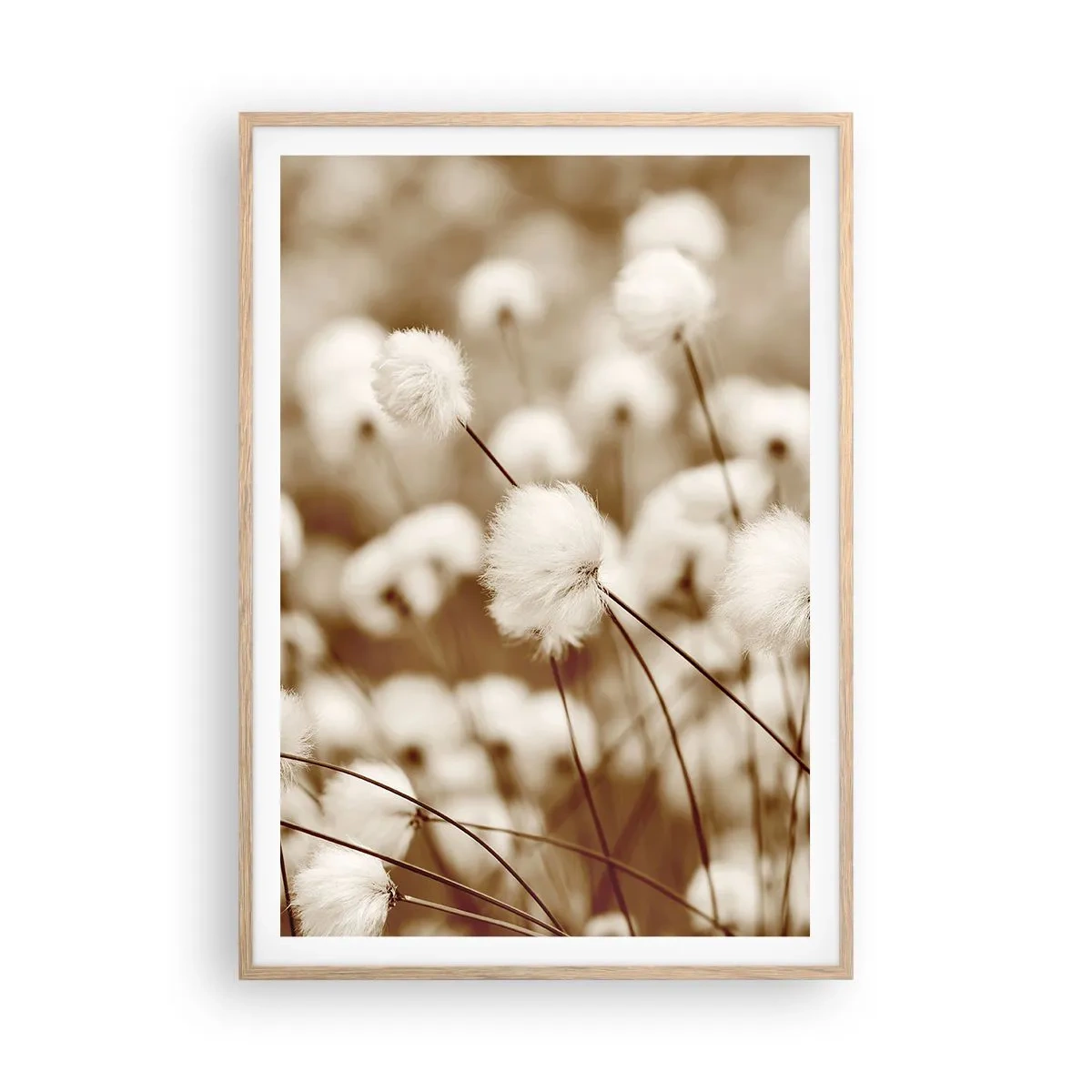 Póster en marco roble claro - Un mullido colchón - 70x100 cm