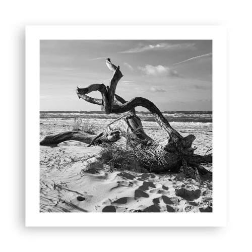 Póster - Escultura marina - 50x50 cm